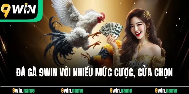 Đá gà 9Win với nhiều mức cược, cửa chọn