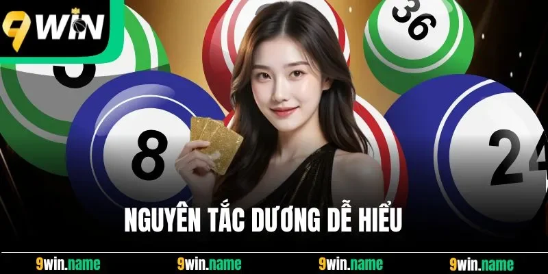 Nguyên tắc dương dễ hiểu