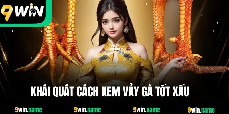 Khái quát cách xem vảy gà tốt xấu