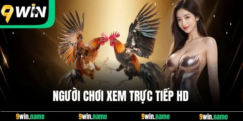Người chơi xem trực tiếp HD
