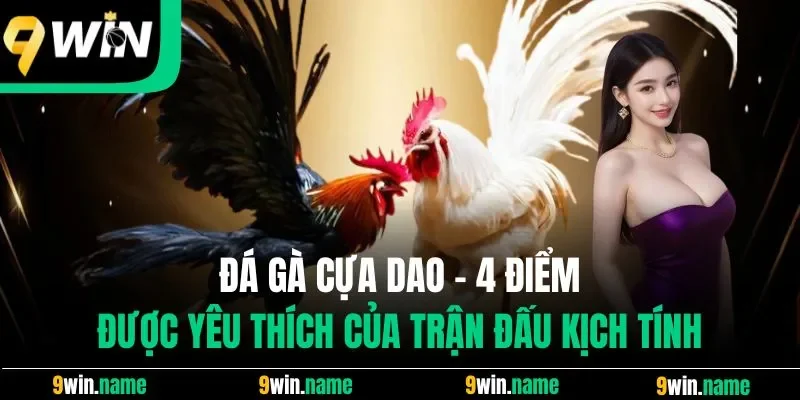 Đá Gà Cựa Dao - 4 Điểm Được Yêu Thích Của Trận Đấu Kịch Tính