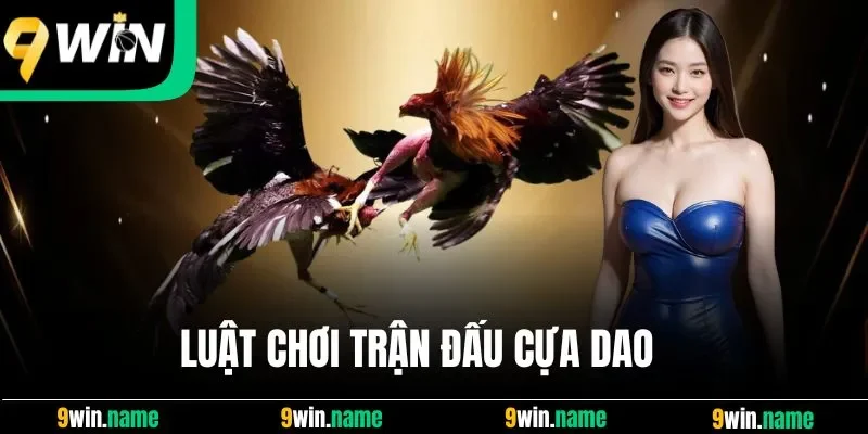 Luật chơi trận đấu cựa dao