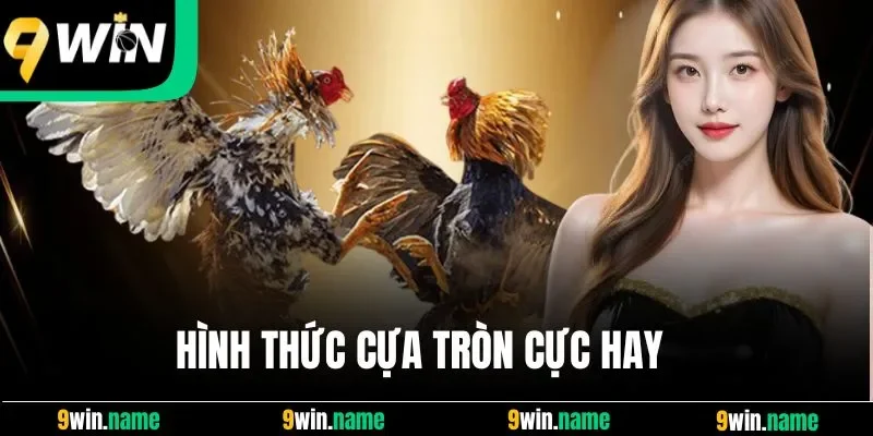 Hình thức cựa tròn cực hay